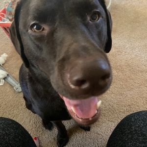 Meet your Posher, Raquel